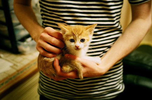 kaiyun体育app-篮网本地活动邀请球迷参与互动挑战，篮网主题